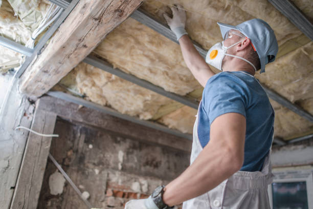 Best Blown-in Insulation in Bellmead, TX