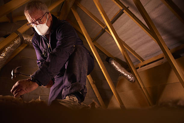 Best Insulation Maintenance and Repair in Bellmead, TX