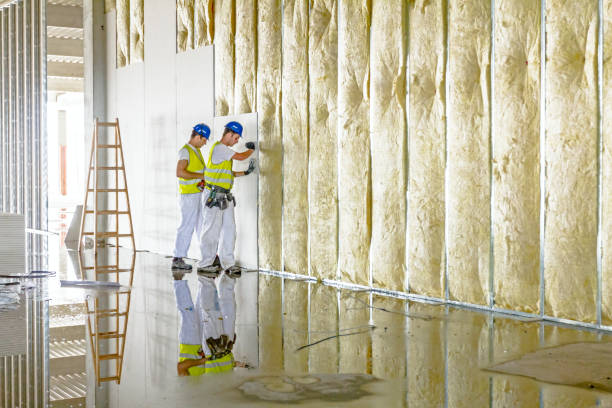 Best Eco-Friendly Insulation in Bellmead, TX
